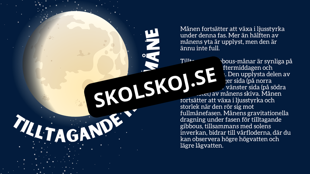 Månens faser