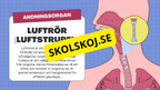 Människans andningsorgan - Årskurs 7 - 9