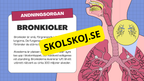 Människans andningsorgan - Årskurs 7 - 9