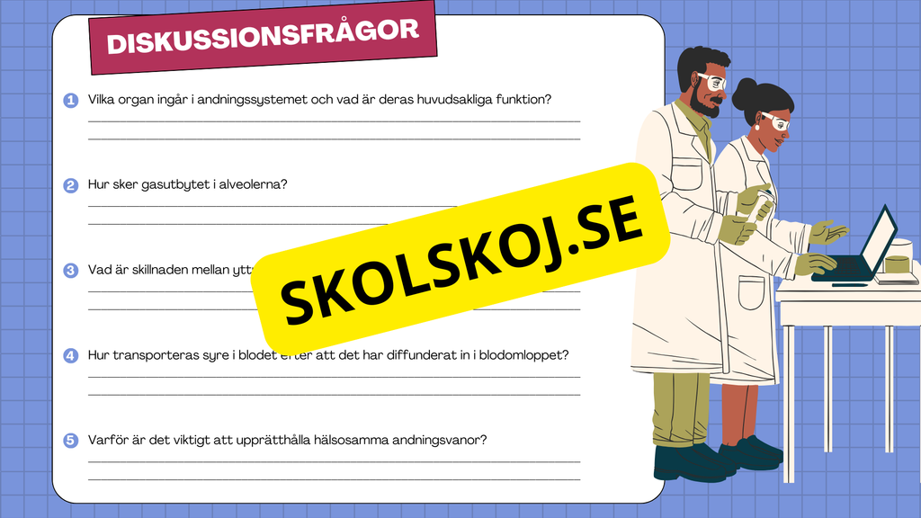 Människans andningsorgan - Årskurs 7 - 9