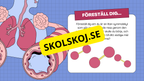 Människans andningsorgan - Årskurs 7 - 9