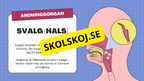 Människans andningsorgan - Årskurs 7 - 9