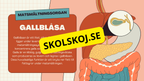 Matsmältningssystemet + Läsförståelse och frågor