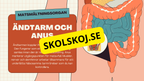 Matsmältningssystemet + Läsförståelse och frågor