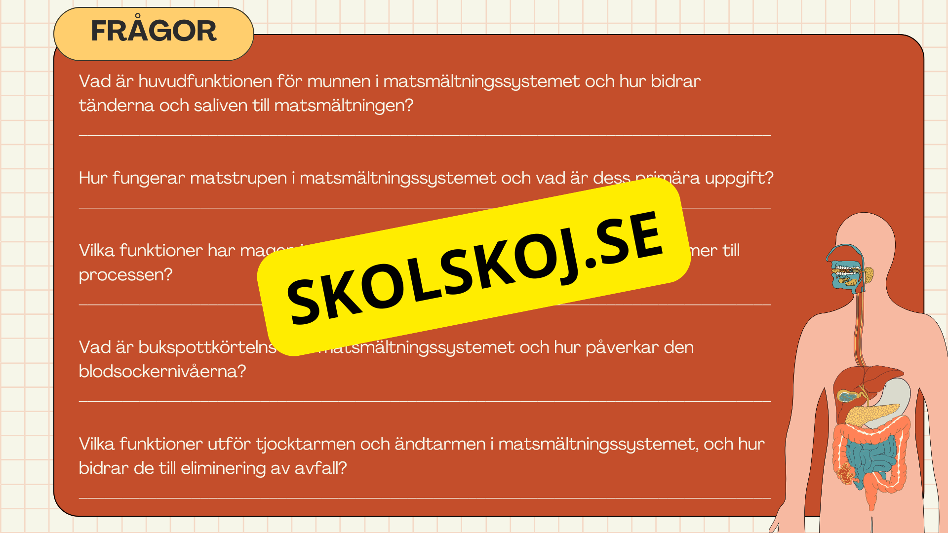 Matsmältningssystemet + Läsförståelse och frågor