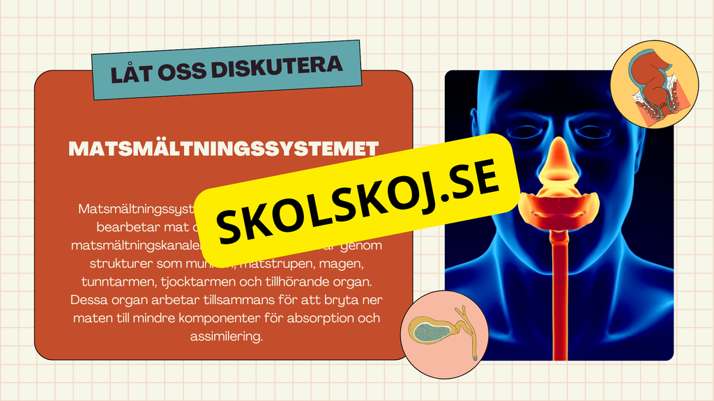 Matsmältningssystemet + Läsförståelse och frågor