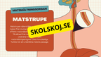 Matsmältningssystemet + Läsförståelse och frågor