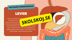 Matsmältningssystemet + Läsförståelse och frågor