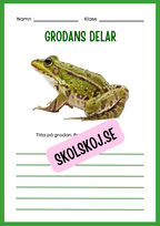 Min forskningsbok om grodor