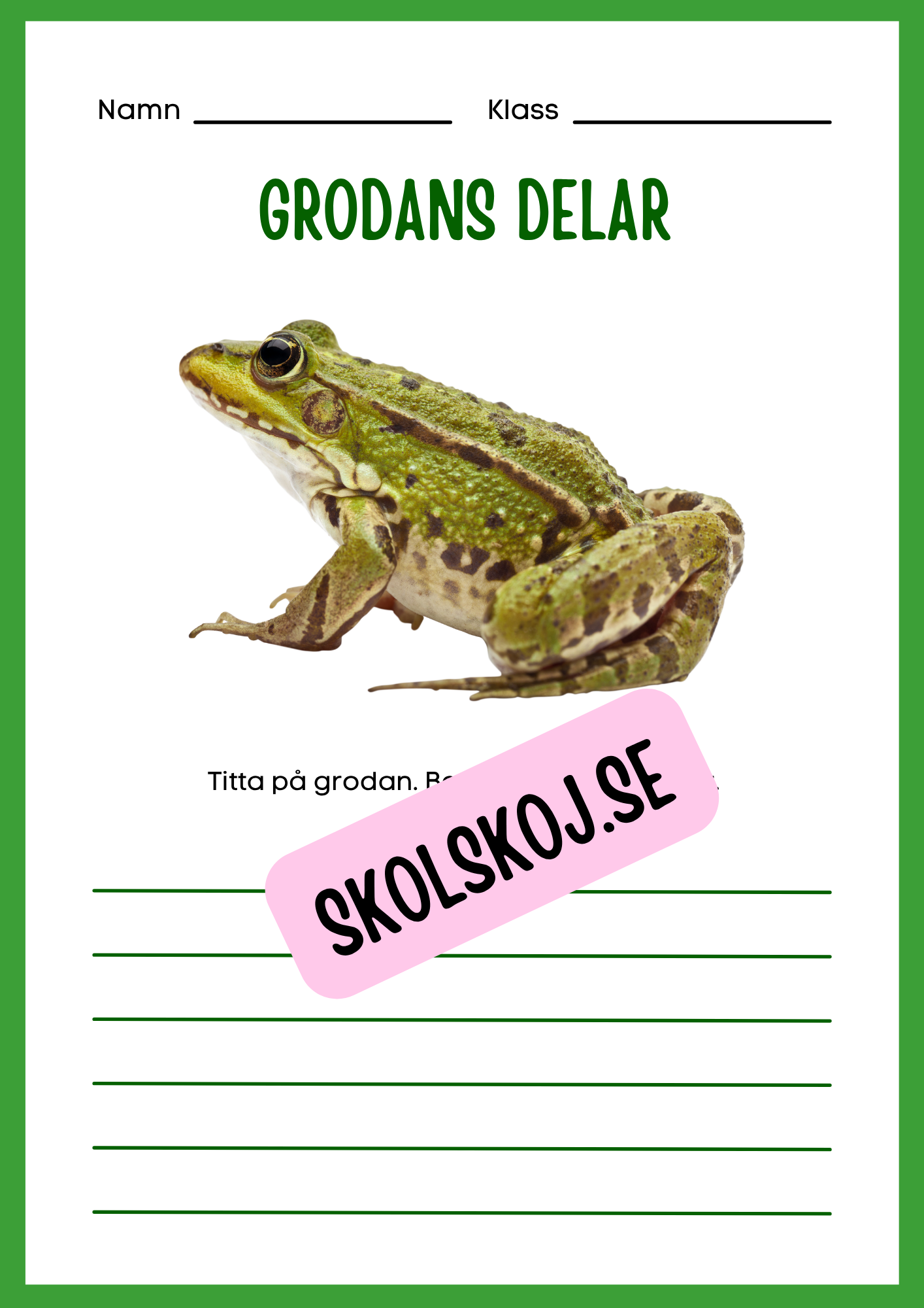 Min forskningsbok om grodor