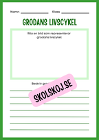 Min forskningsbok om grodor