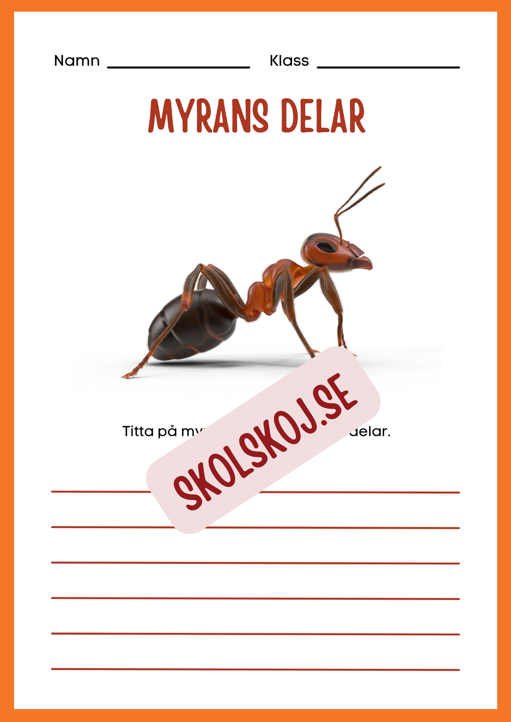 Min forskningsbok om myror