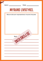 Min forskningsbok om myror