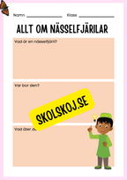 Min forskningsbok om nässelfjärilar