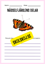 Min forskningsbok om nässelfjärilar