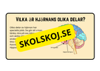 Förstå din hjärna - Årskurs 4 - 6