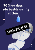 Pluto och planeterna - Fakta - Frågor (35 sidor)