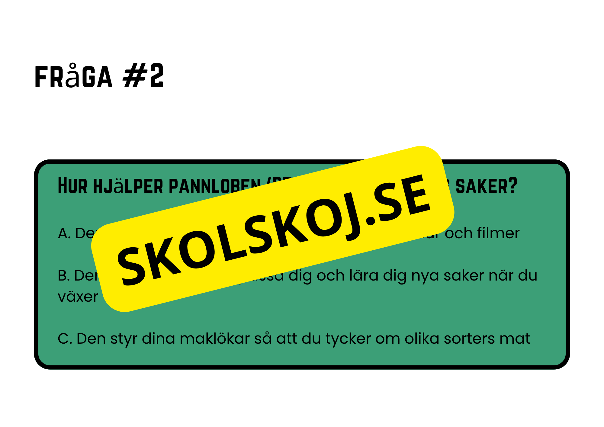 Förstå din hjärna - Årskurs 4 - 6