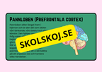 Förstå din hjärna - Årskurs 4 - 6