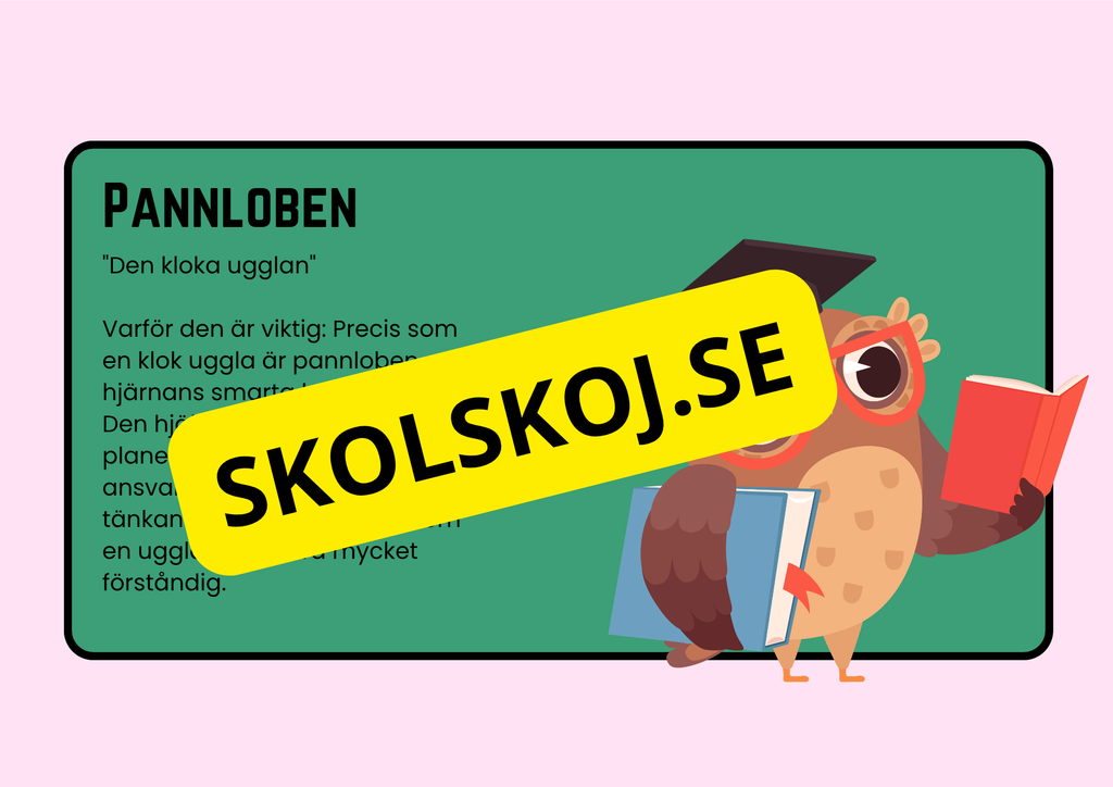 Förstå din hjärna - Årskurs 4 - 6