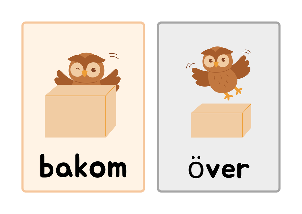 Prepositioner - Flashkort