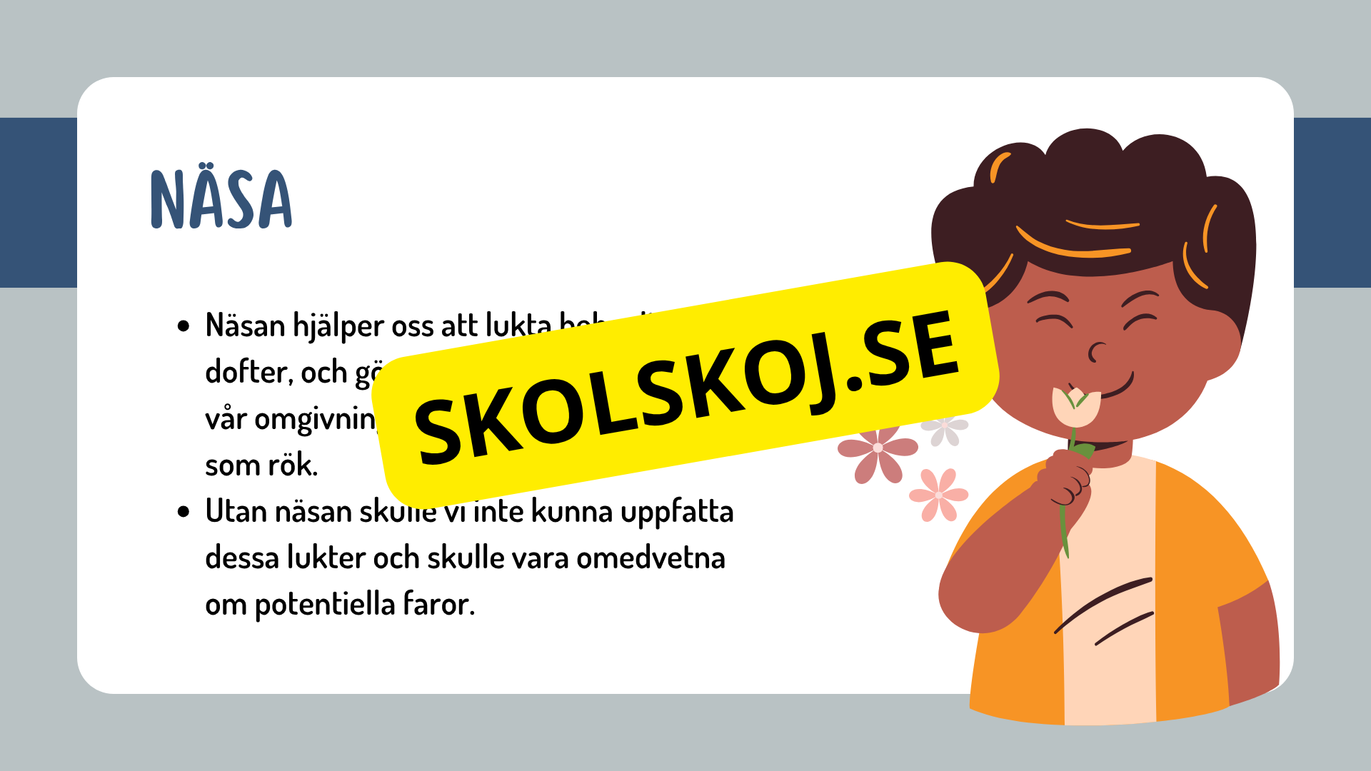 Sinnena - Hur uppfattar vi vår omgivning?