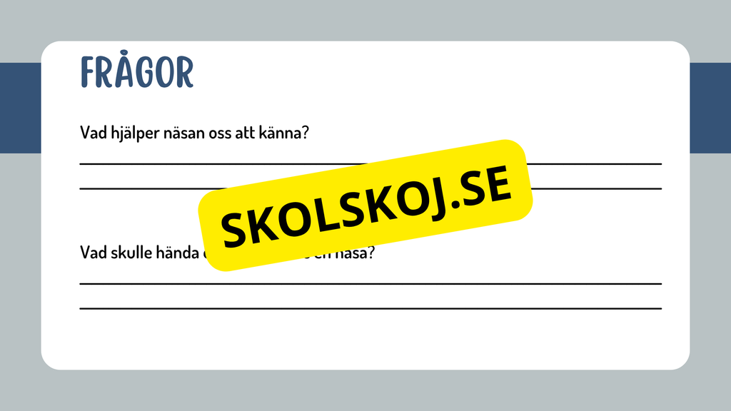 Sinnena - Hur uppfattar vi vår omgivning?