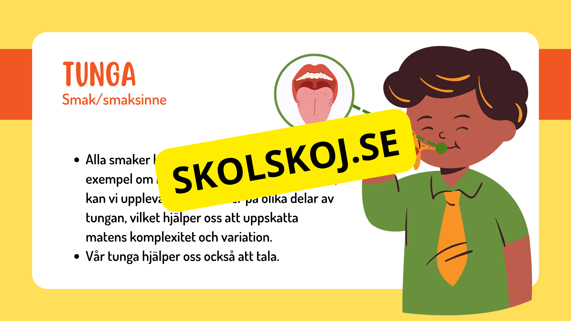 Sinnena - Hur uppfattar vi vår omgivning?