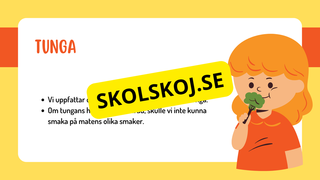 Sinnena - Hur uppfattar vi vår omgivning?