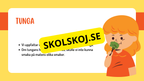 Sinnena - Hur uppfattar vi vår omgivning?