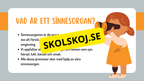 Sinnena - Hur uppfattar vi vår omgivning?