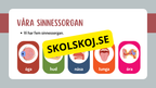 Sinnena - Hur uppfattar vi vår omgivning?