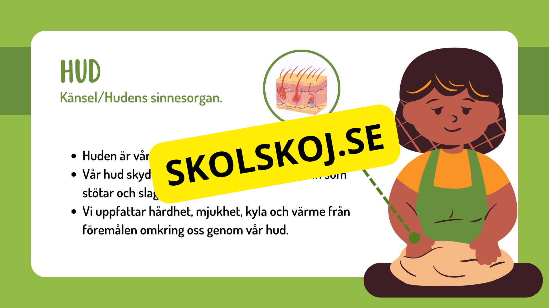 Sinnena - Hur uppfattar vi vår omgivning?