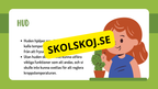 Sinnena - Hur uppfattar vi vår omgivning?