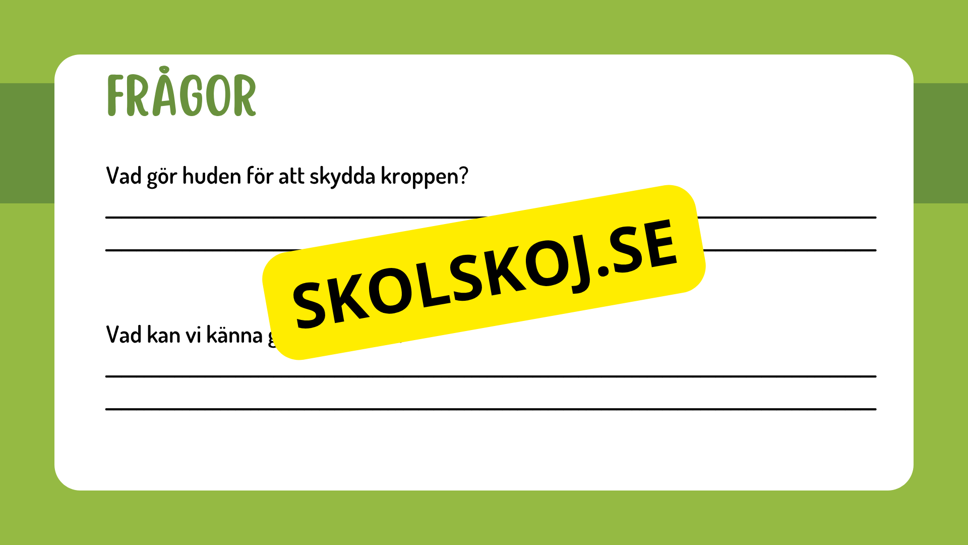 Sinnena - Hur uppfattar vi vår omgivning?