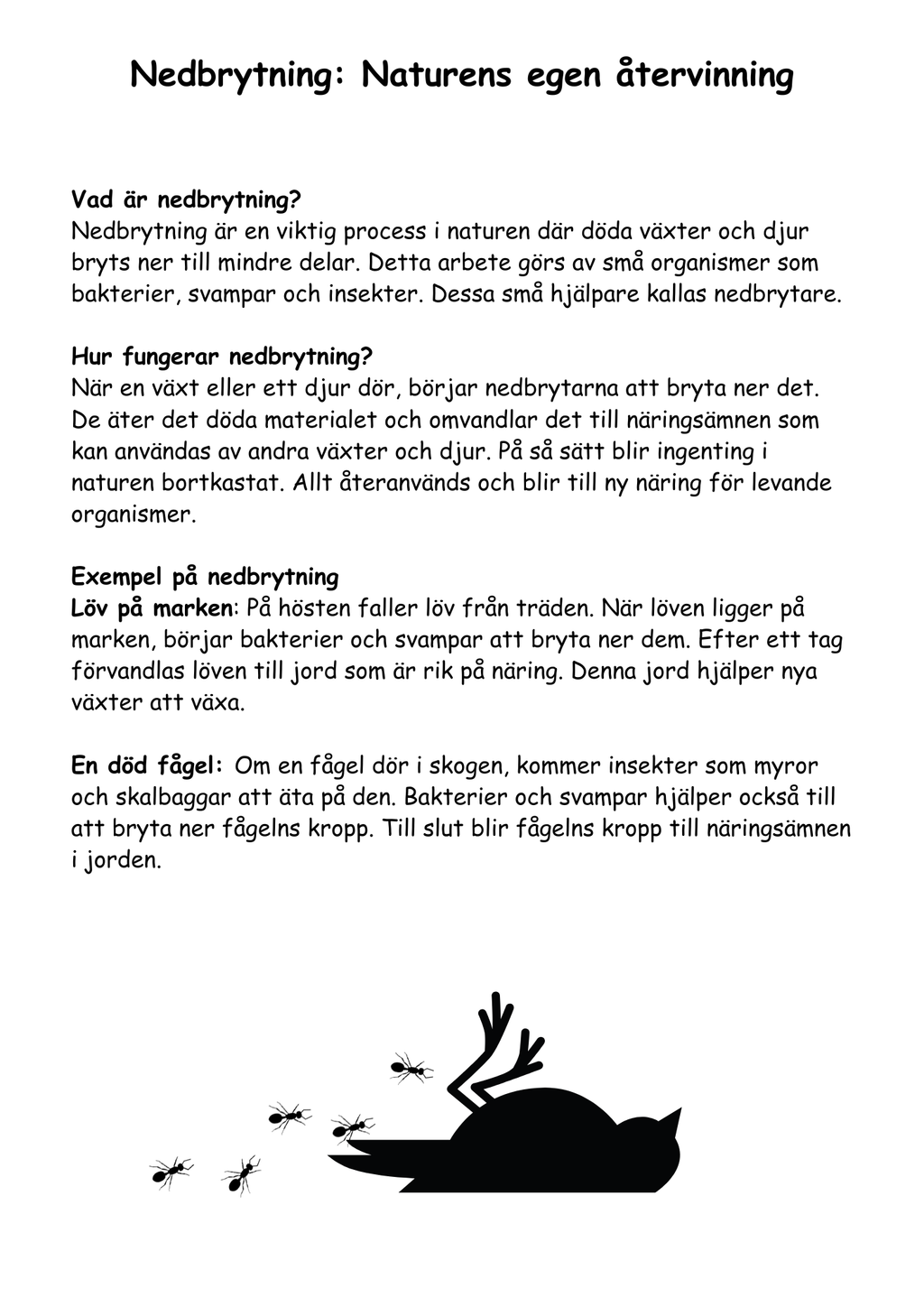 Stort NO-paket - Biologi för årskurs 4–6 – 200 sidor