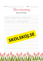 Skrivövning - Spåra och skriv meningen