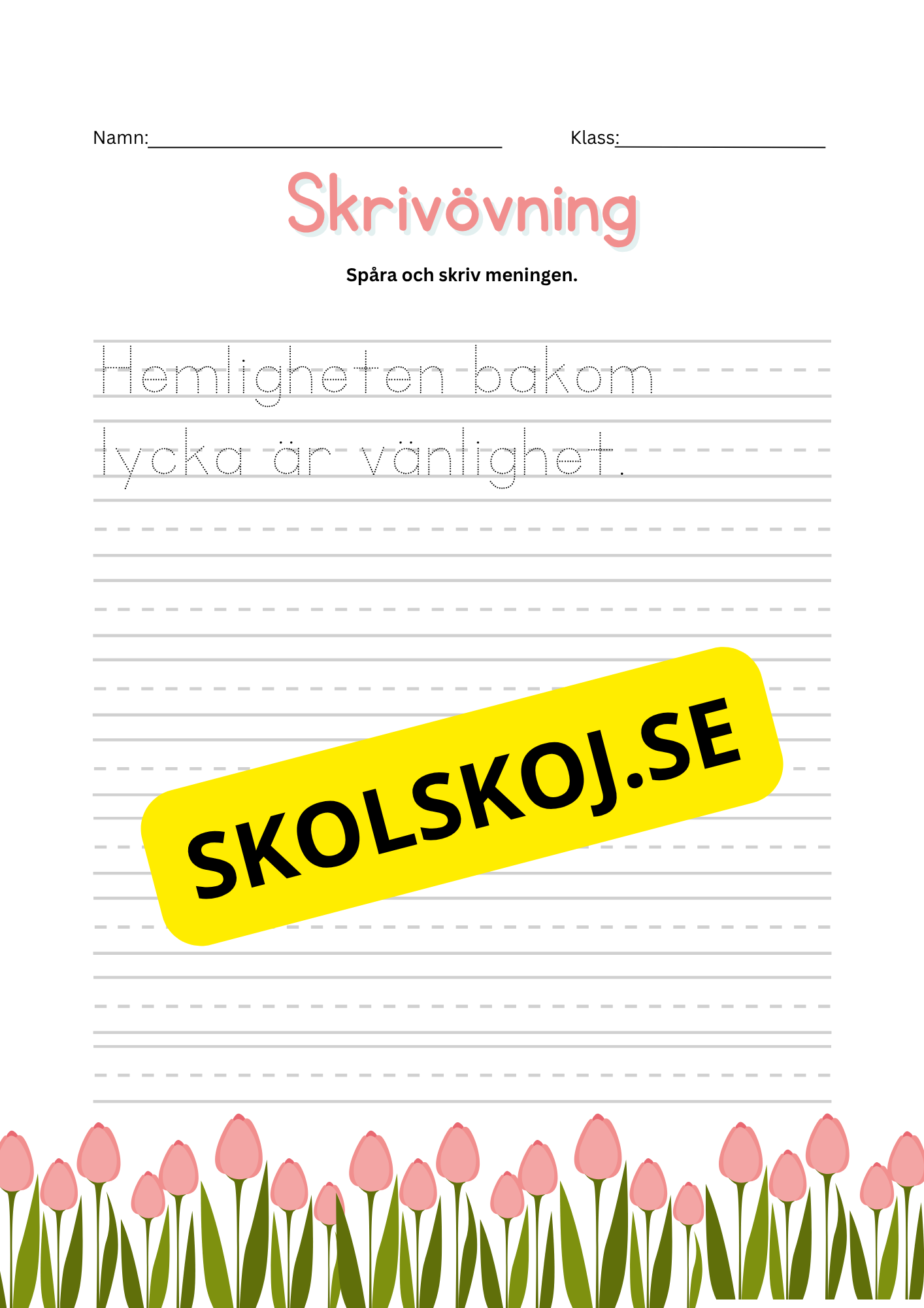 Skrivövning - Spåra och skriv meningen