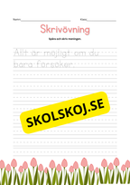 Skrivövning - Spåra och skriv meningen