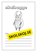 Småkryp - Faktabok