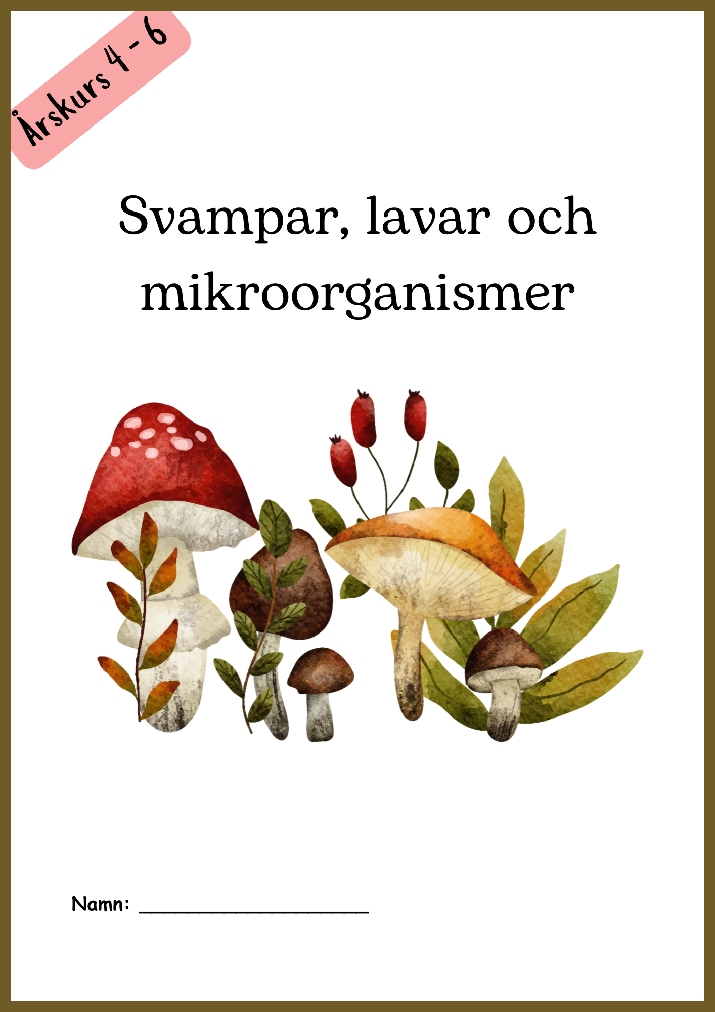 Svampar, lavar och mikroorganismer - Årskurs 4 - 6