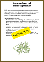 Svampar, lavar och mikroorganismer - Årskurs 4 - 6