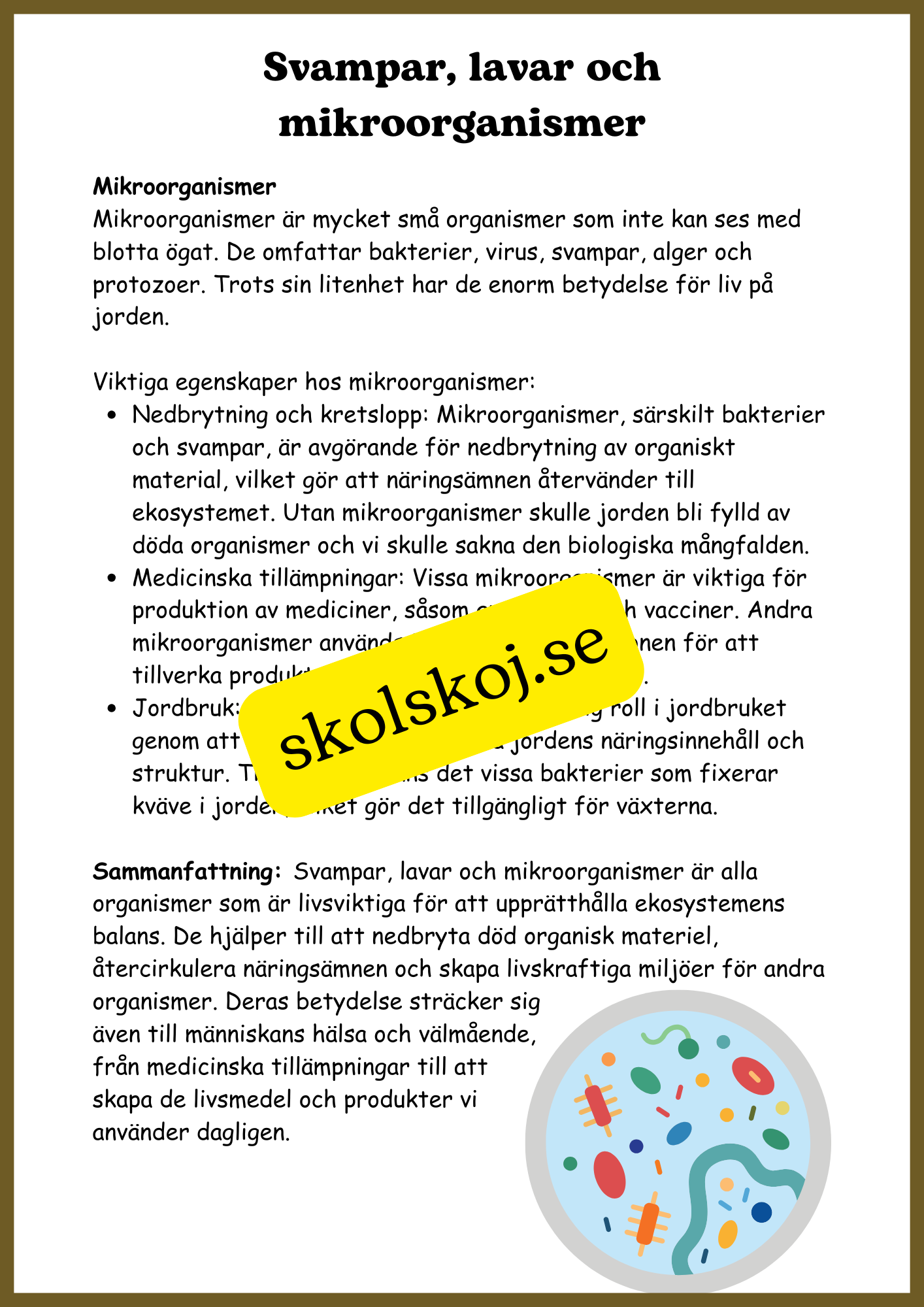Svampar, lavar och mikroorganismer - Årskurs 4 - 6