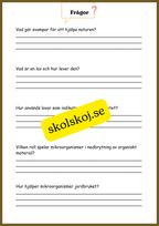 Svampar, lavar och mikroorganismer - Årskurs 4 - 6