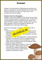 Svampar, lavar och mikroorganismer - Årskurs 4 - 6