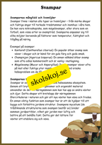 Svampar, lavar och mikroorganismer - Årskurs 4 - 6