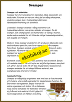 Svampar, lavar och mikroorganismer - Årskurs 4 - 6