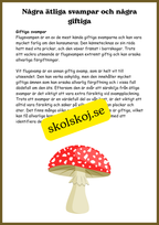 Svampar, lavar och mikroorganismer - Årskurs 4 - 6