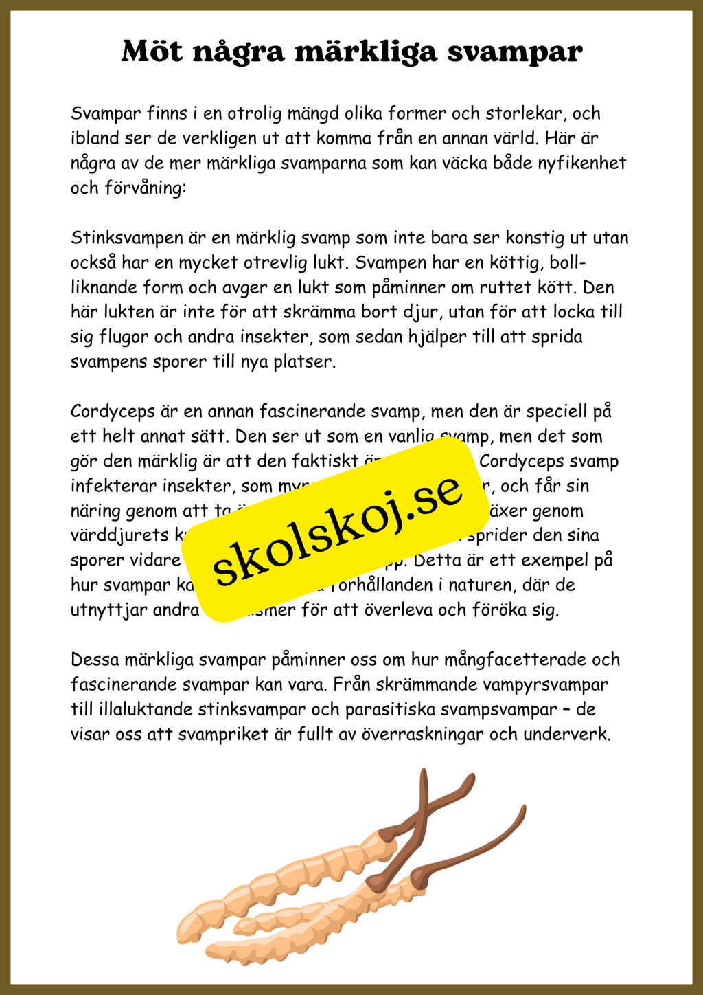 Svampar, lavar och mikroorganismer - Årskurs 4 - 6