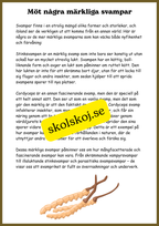 Svampar, lavar och mikroorganismer - Årskurs 4 - 6